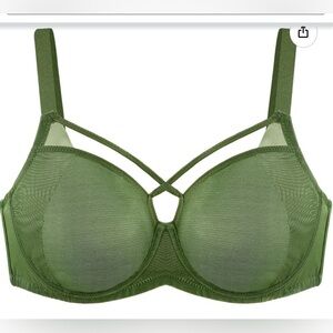 HSIA Lace Minimizer Bra Unlined Unpadded Sheer Underwire Womens 40D